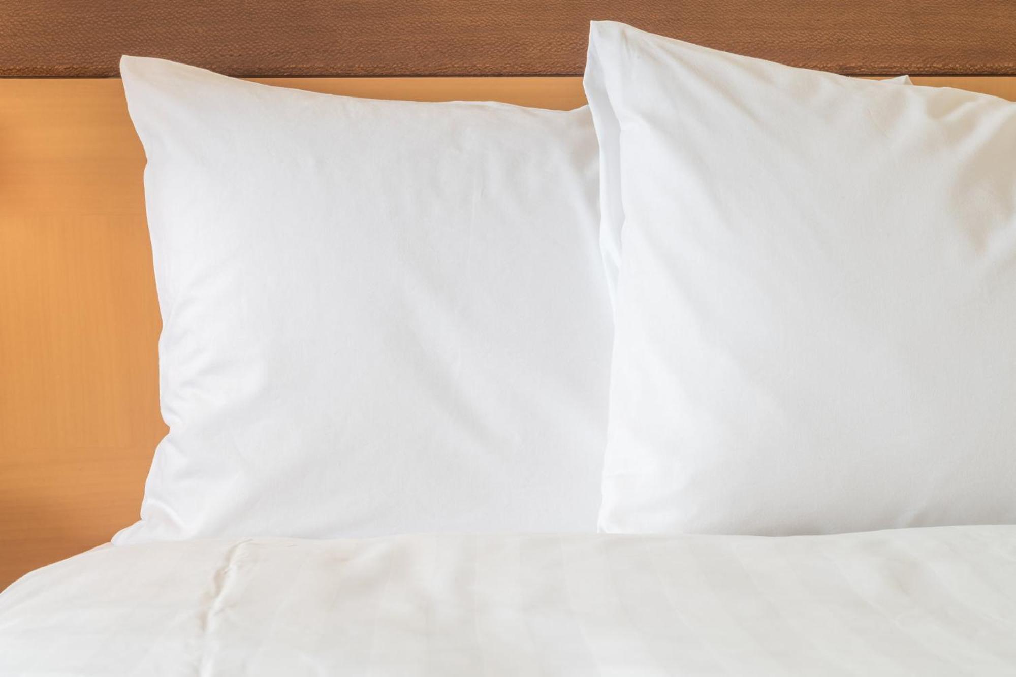 Holiday Inn & Suites Wausau-Rothschild By Ihg Eksteriør billede